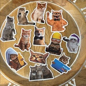 Cute Cat Sticker Set NEW x12 construction worker cat, English book cat, spa cat